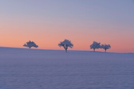 雪地