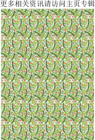 春季植物花卉 绿色植物 