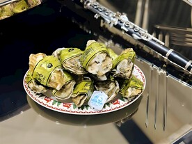 生蚝