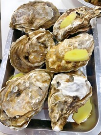 生蚝