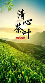 茶叶背景墙