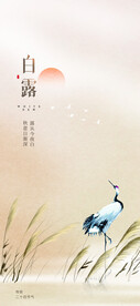 节气海报