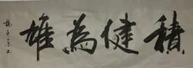 积健为雄