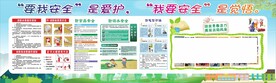安全教育黑板报