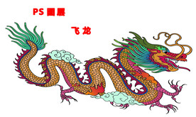 飞龙