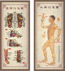 人体穴位图