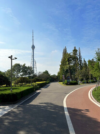 城市公园