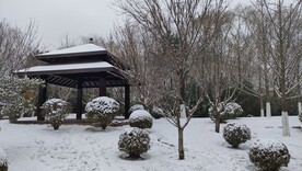 北京园博园复古建筑亭子雪天雪景