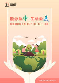 中石化  环保