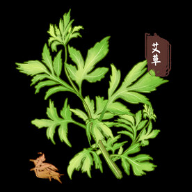 艾草  