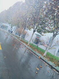 雨季