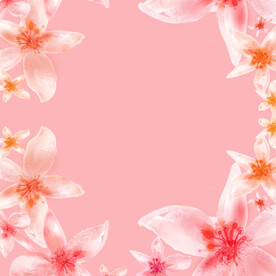 粉色花卉唯美挂画装饰画