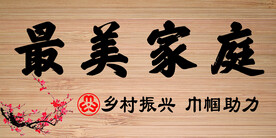 最美家庭