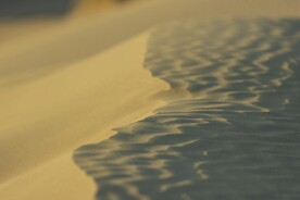 沙漠 