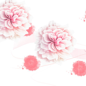 粉色花朵花卉挂画装饰画