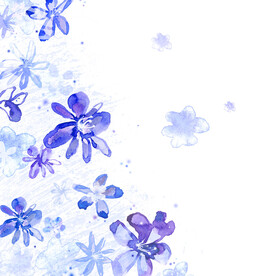 粉色花朵花卉挂画装饰画