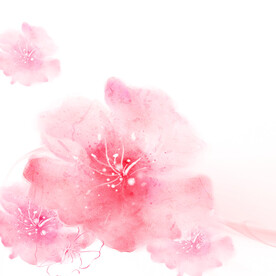 粉色花卉花朵挂画装饰画