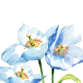 水彩蓝色花卉唯美挂画装饰画