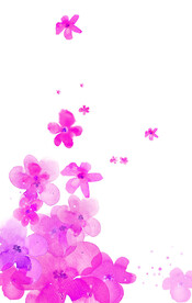 花朵水墨水彩挂画装饰画