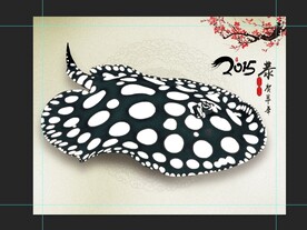 黑白魟鱼水族观赏鱼壁纸