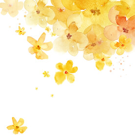 唯美黄色花卉花朵挂画装饰画