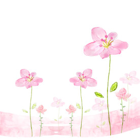 粉色花卉唯美挂画装饰画