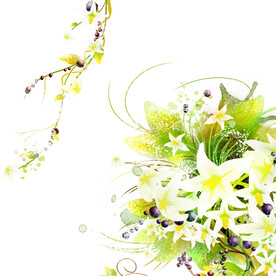 唯美花卉花藤挂画
