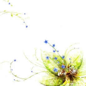 水彩植物绿植挂画装饰画