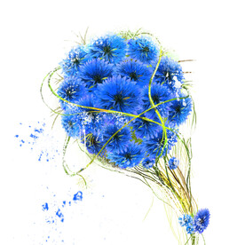 蓝色花球艺术挂画