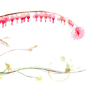 抽象水墨水彩花卉挂画装饰画