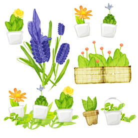 盆栽花卉植物挂画装饰画
