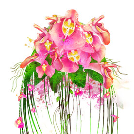 唯美花卉植物挂画装饰画