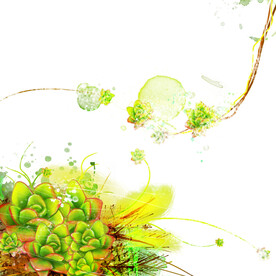 水彩植物艺术挂画装饰画