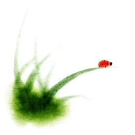 水彩绿植甲虫挂画装饰画