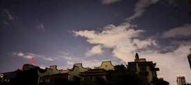 白月光