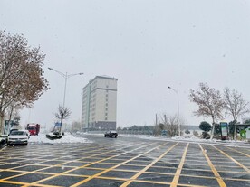 下雪天下雪了美景鹅毛大雪雪花