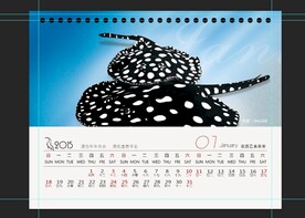 黑白魟鱼水族观赏鱼壁纸