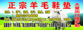 正宗羊毛鞋垫