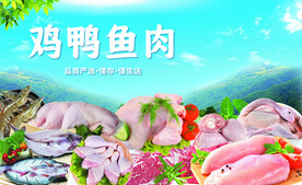 鸡鸭鱼肉