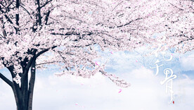樱花树