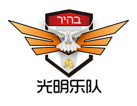 乐队 鸽子 起飞