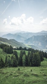 大山风景