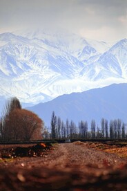 路边风景