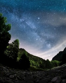 森林星空