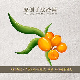 原创手绘沙棘