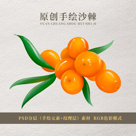 原创手绘沙棘