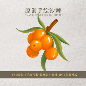 原创手绘沙棘