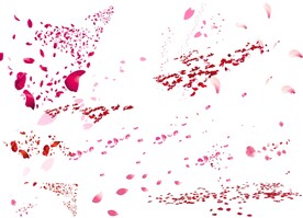 花瓣