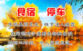名片 胡杨背景