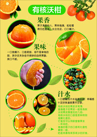 沃柑